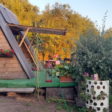 La Fatina Lodge Barga Dış mekan fotoğraf
