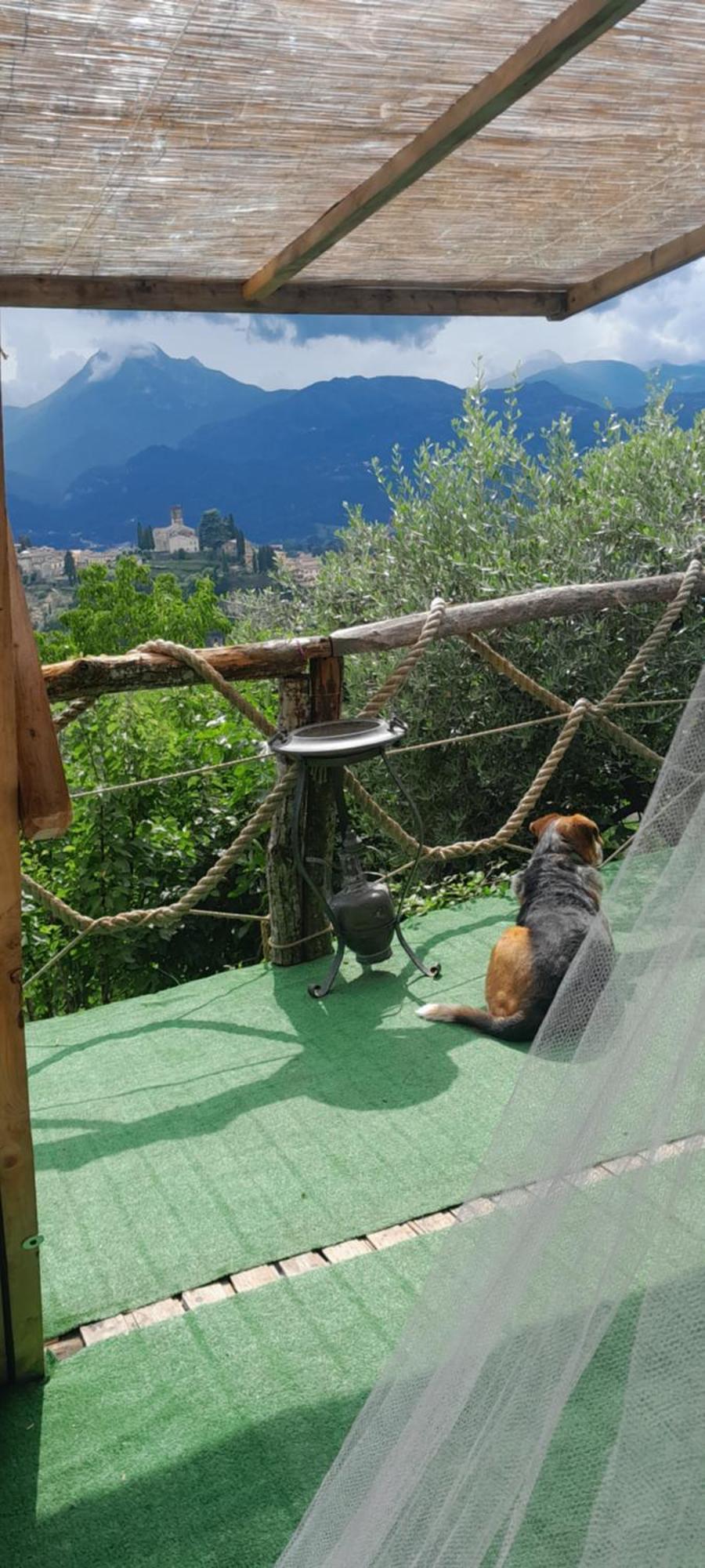 La Fatina Lodge Barga Dış mekan fotoğraf
