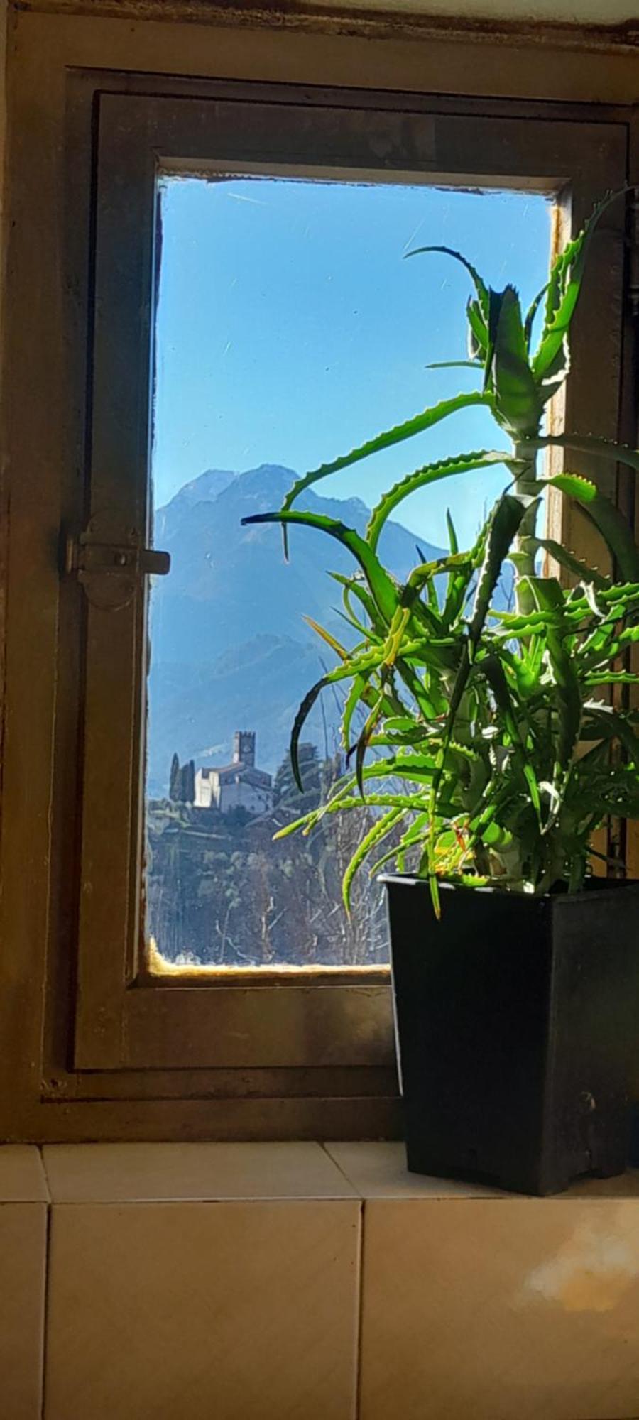 La Fatina Lodge Barga Dış mekan fotoğraf